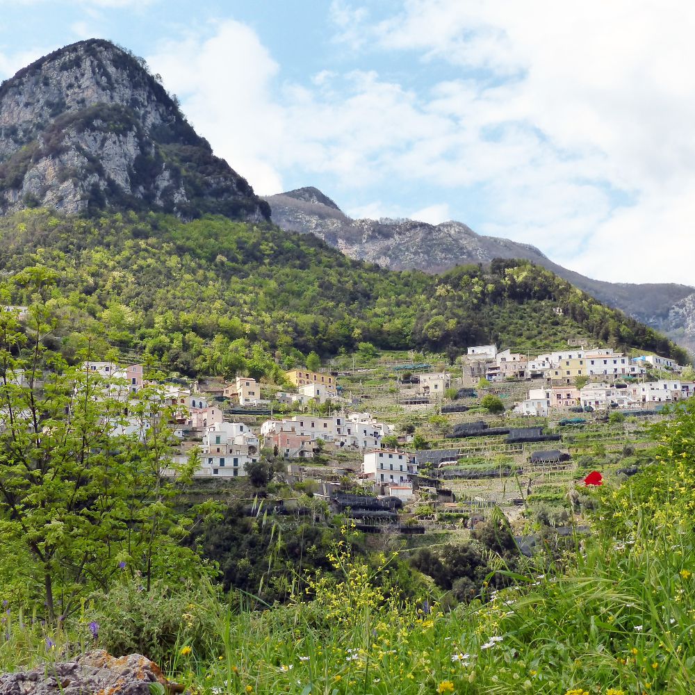<?php echo Valle dei Mulini e Amalfi ?> photo 4